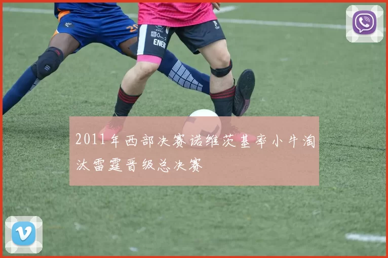 2011年西部决赛诺维茨基率小牛淘汰雷霆晋级总决赛