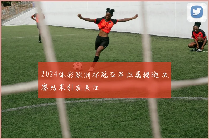 2024体彩欧洲杯冠亚军归属揭晓 决赛结果引发关注