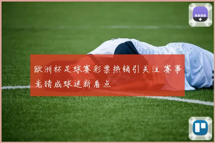 欧洲杯足球赛彩票热销引关注 赛事竞猜成球迷新看点