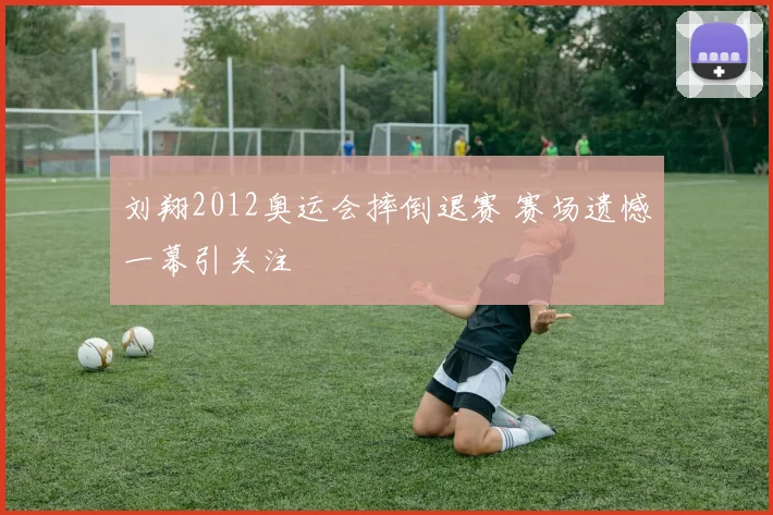 刘翔2012奥运会摔倒退赛 赛场遗憾一幕引关注