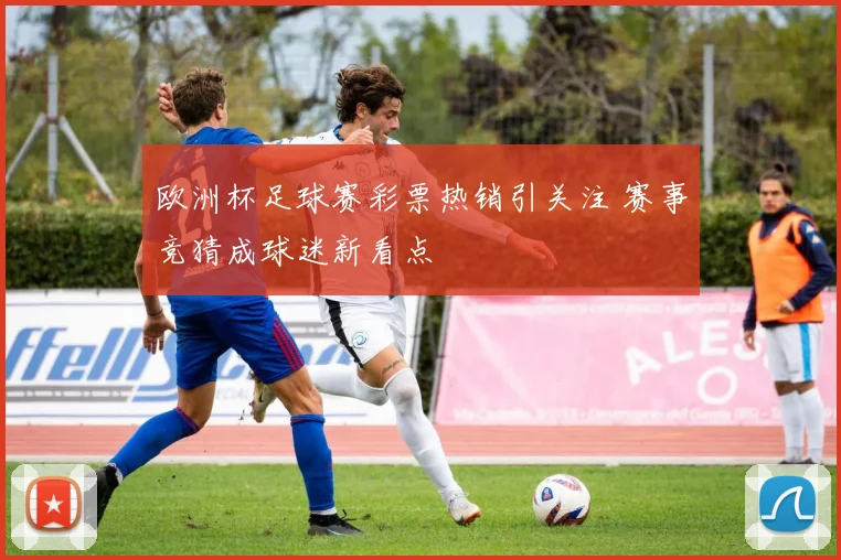 欧洲杯足球赛彩票热销引关注 赛事竞猜成球迷新看点