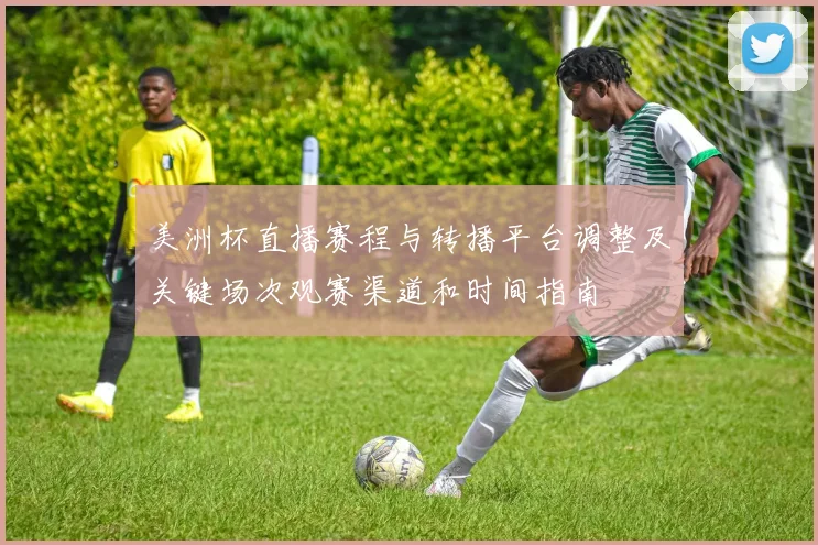 美洲杯直播赛程与转播平台调整及关键场次观赛渠道和时间指南